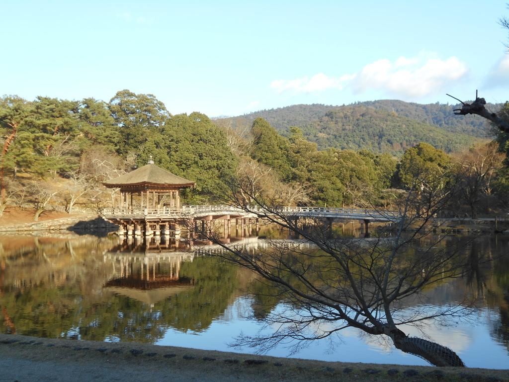 奈良公園 - 浮見堂 -