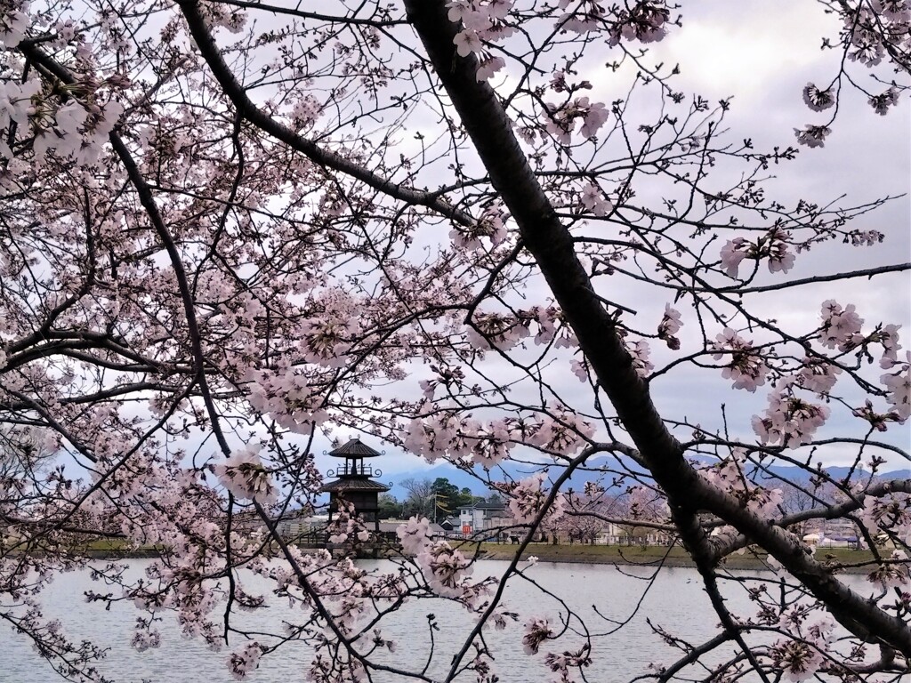 弥生の里にも春が来た