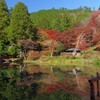 水面に閉じ込めた紅葉