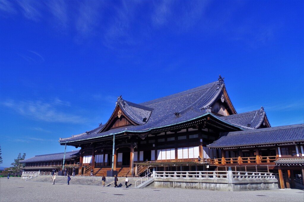 スカッと青空