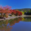 大仏池の紅葉2019