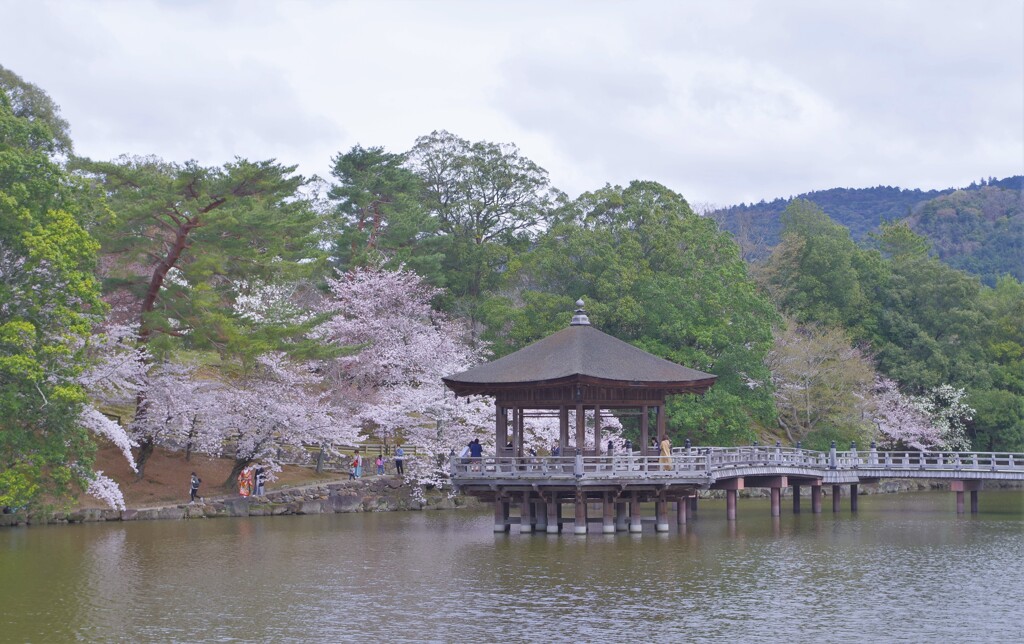 それでも春はやって来る