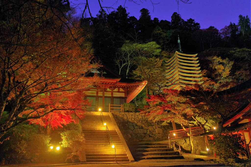 談山神社に灯りがともる