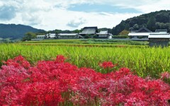 聖徳太子ゆかりの地にて