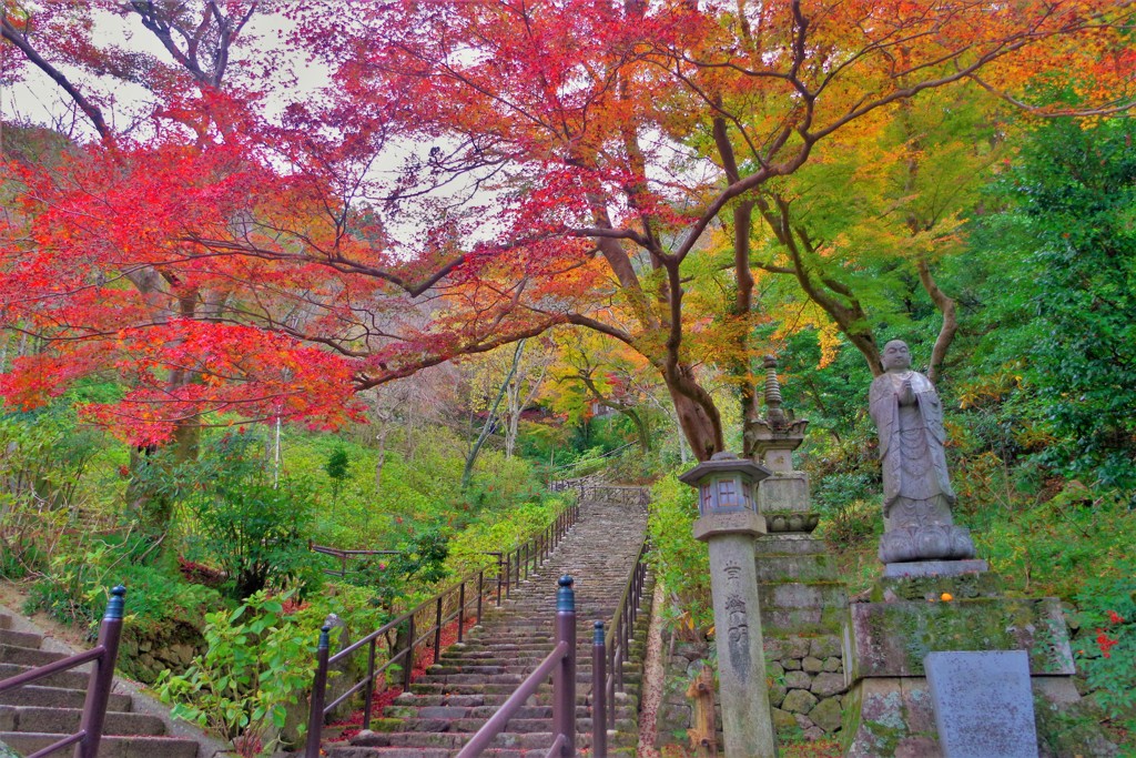 長谷寺の紅葉 ～本堂まであと半分～