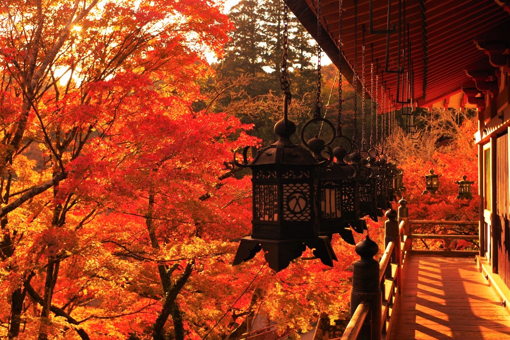 談山神社の紅葉② ～Contrast～