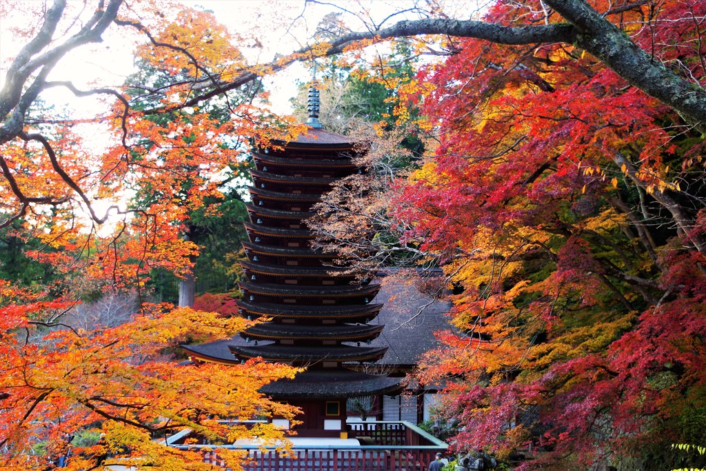 談山神社の紅葉④ ～Gradation～