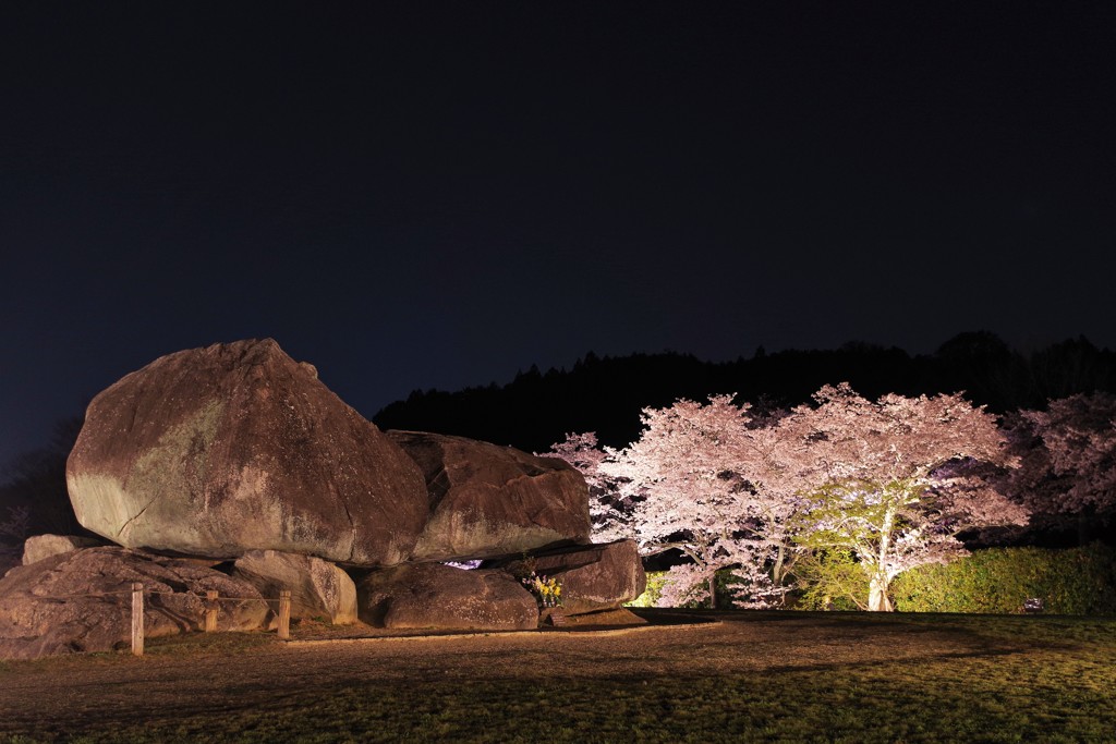 桜の舞台