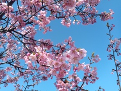 出会いと別れ