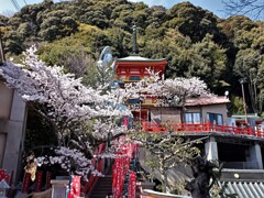 日本一大地蔵尊と桜