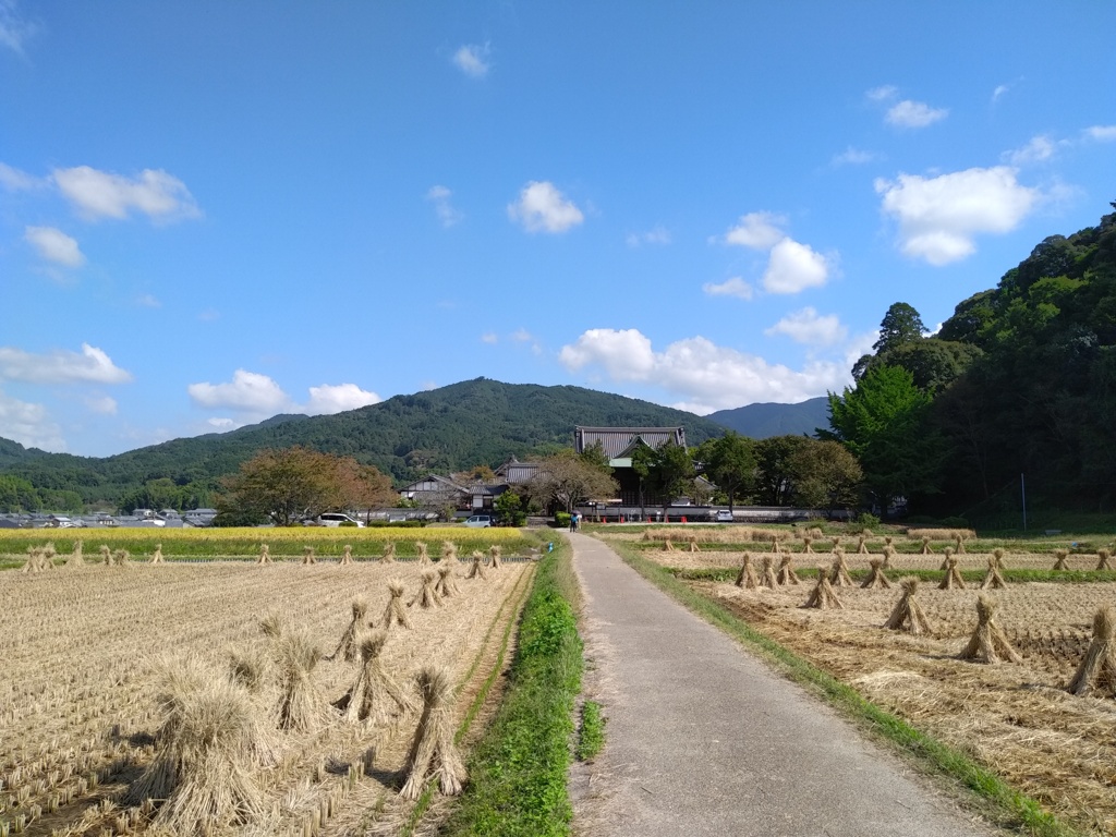 稲刈りの季節 [ 飛鳥編 ]