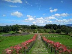 彼岸と此岸を結ぶ道