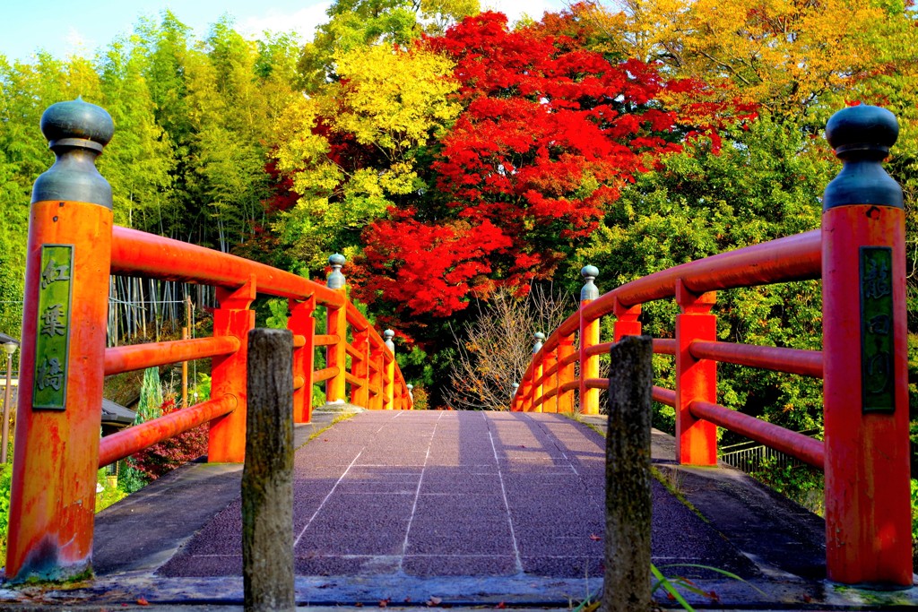 紅葉橋 By Narashika Id 写真共有サイト Photohito