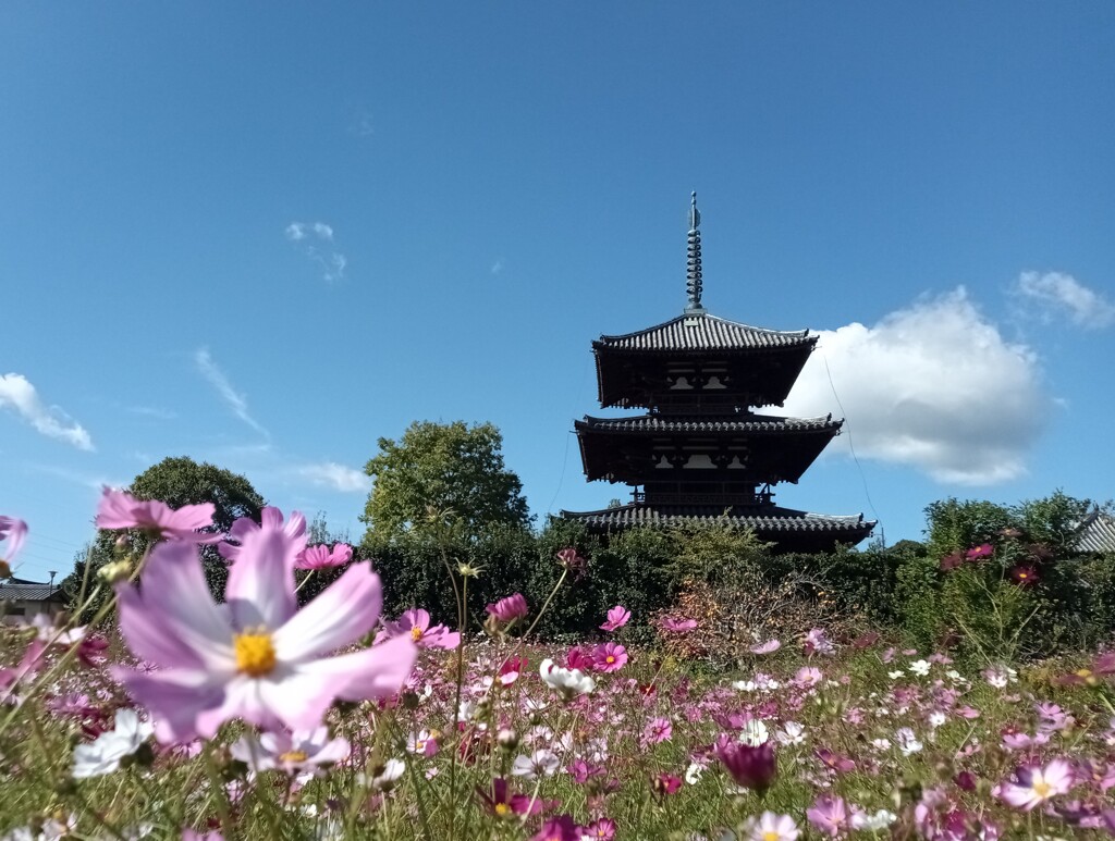 青空が気持ち良い