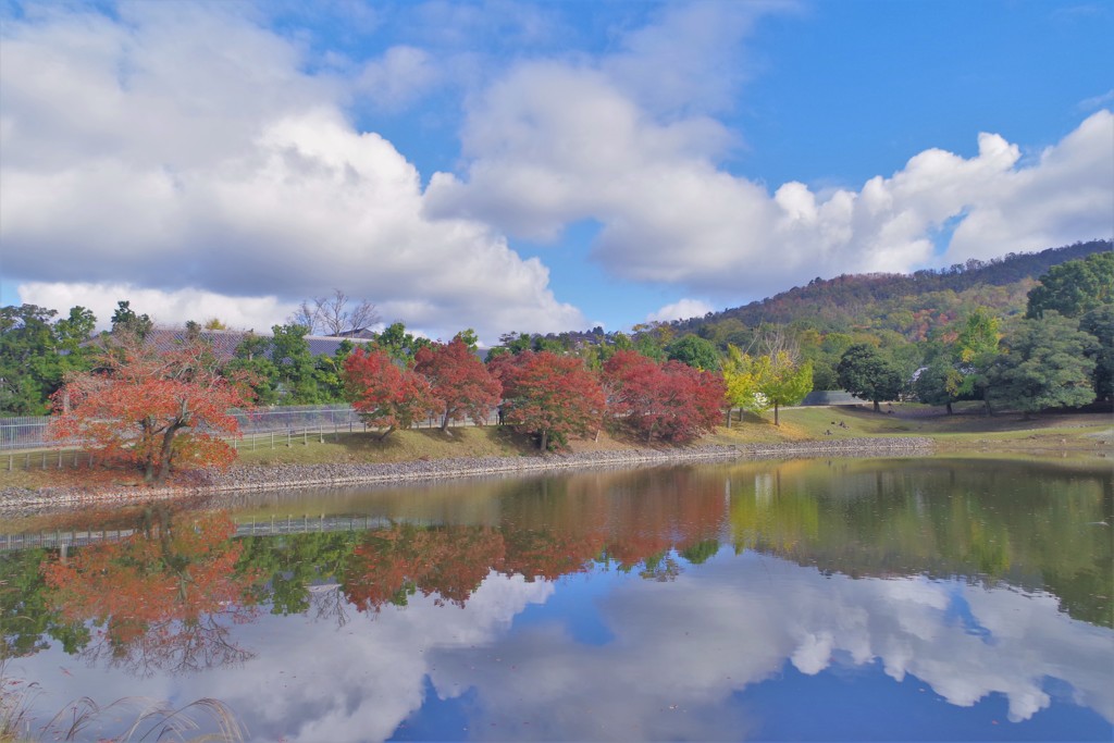 大仏池の紅葉2018