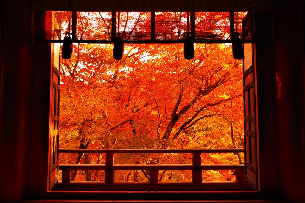 談山神社の紅葉① ～開幕～