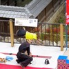 猿も煽てりゃ空を飛ぶ