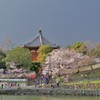 春めく南円堂