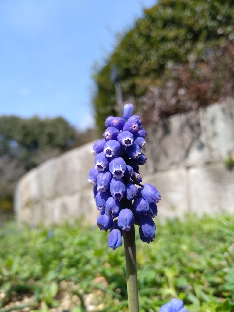 通じ合う心