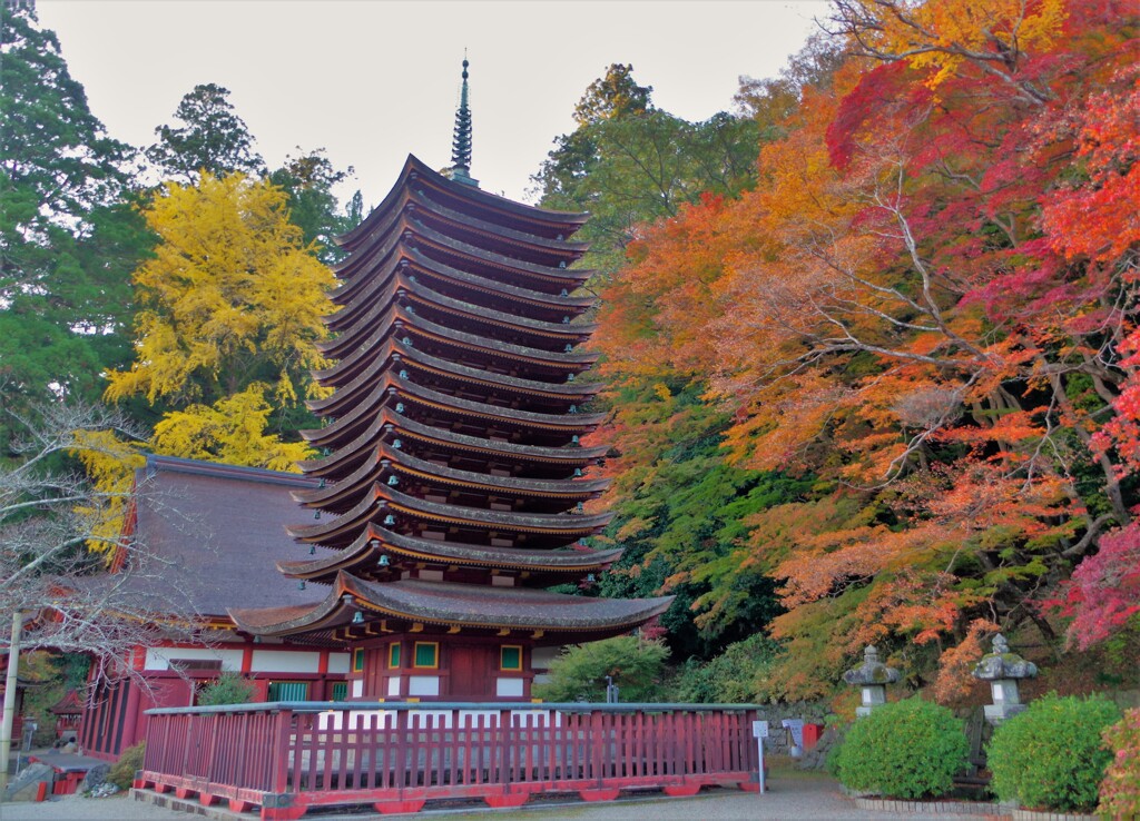 迫りくる紅葉