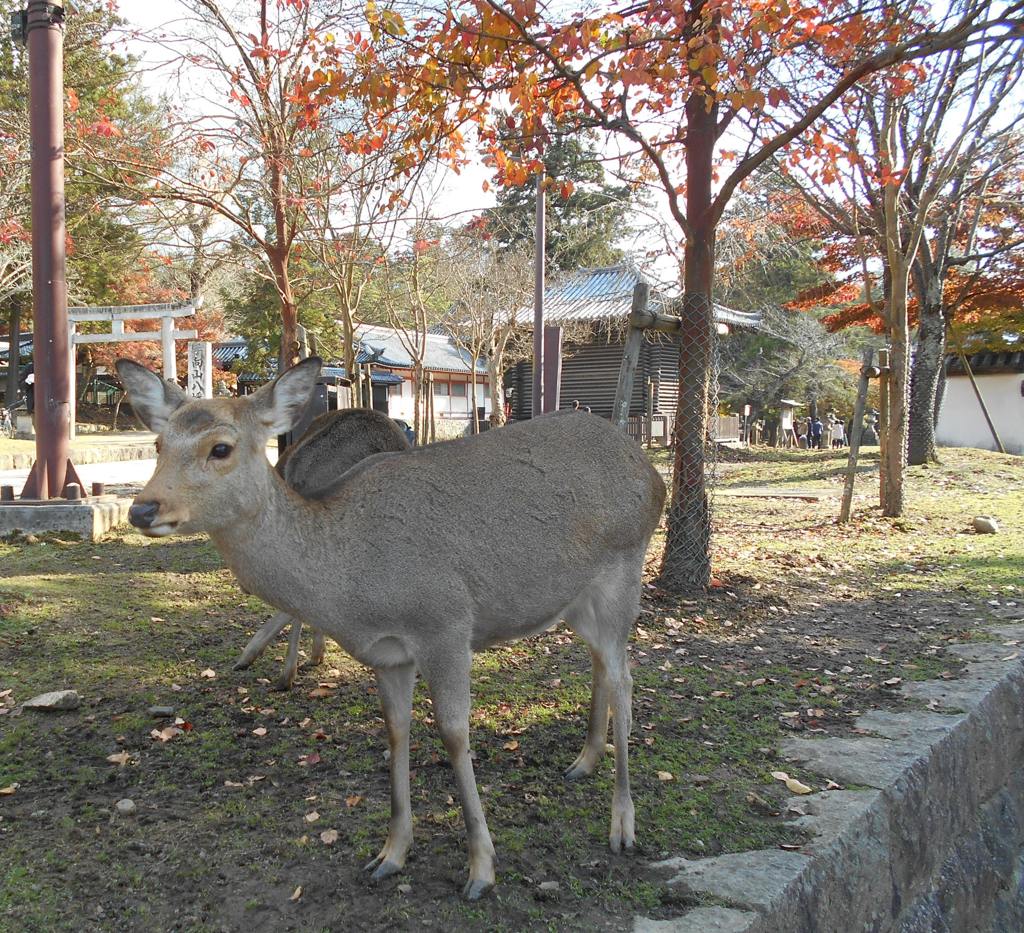 どこ見てるの？