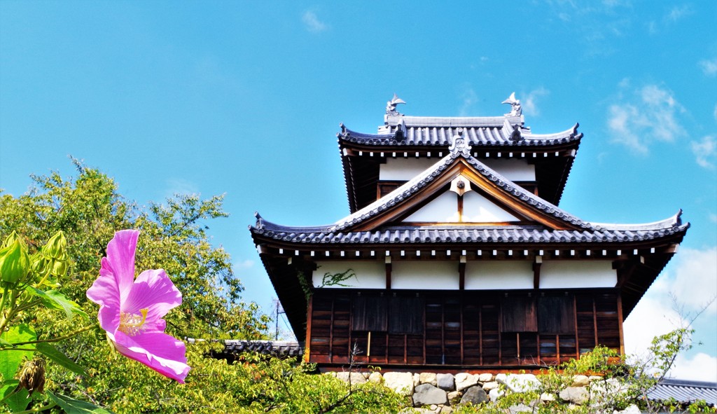 郡山城 ～夏の終わり～