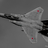 マンボーバイキング