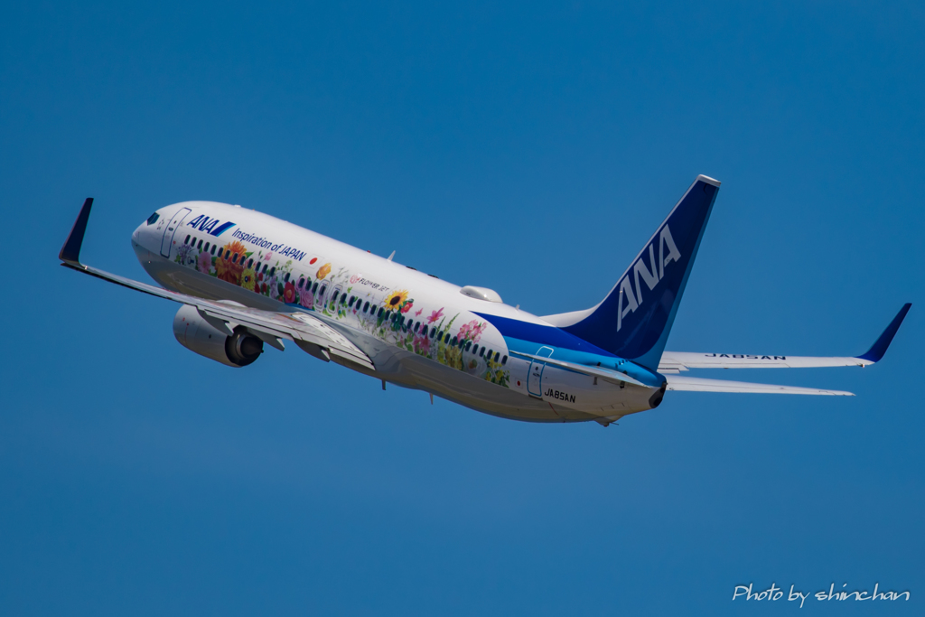 flower-Jet