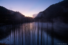 夜明けの自然湖
