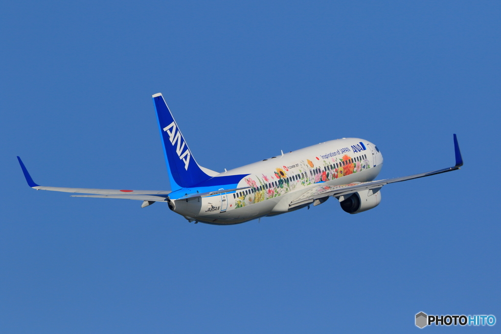 久しぶりのセントレア①