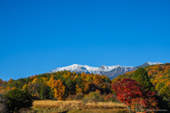 冠雪した御嶽山