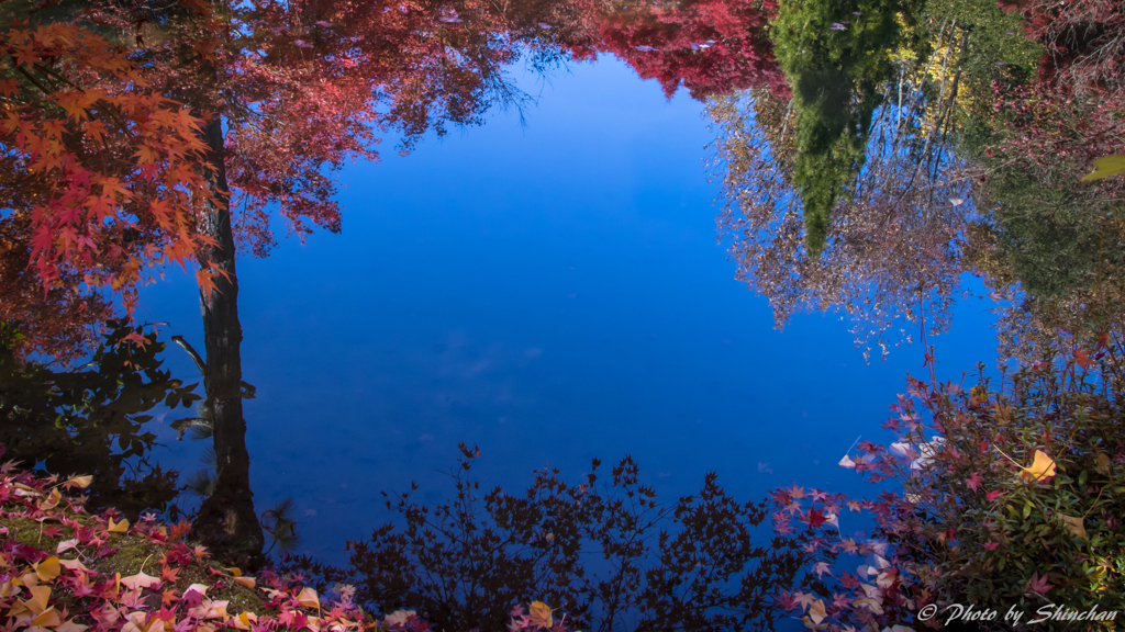 autumn mirror
