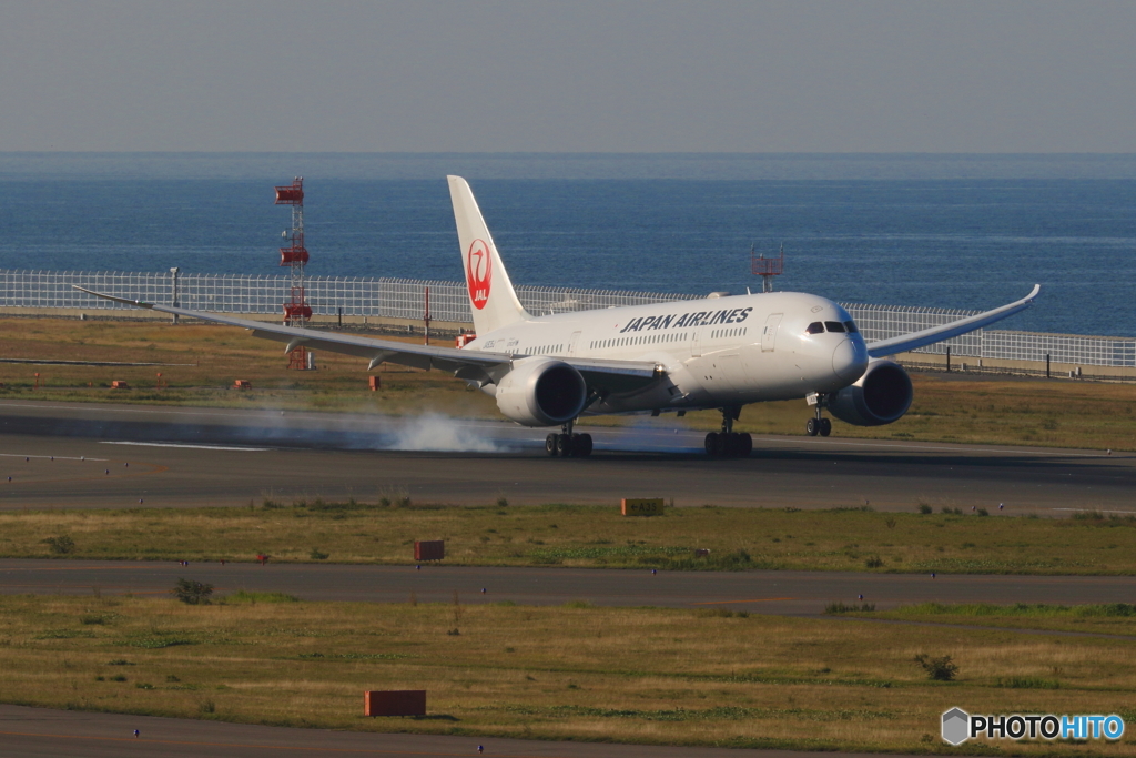 久しぶりのセントレア③