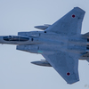 逆光の背中