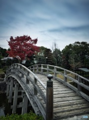 橋