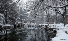 雪橋