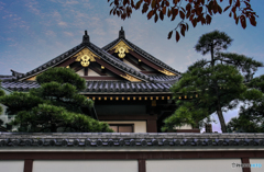 神社