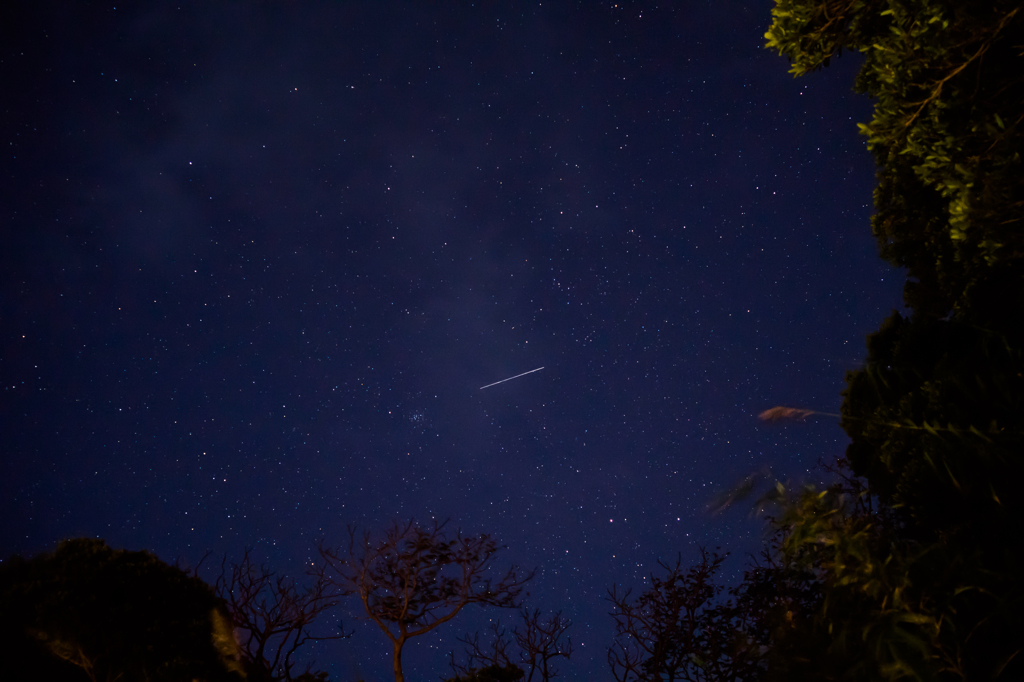 流星群なのにひとつだけ