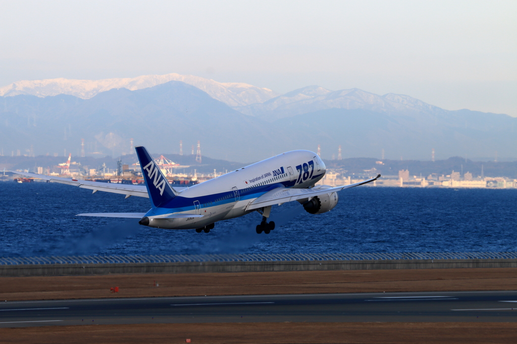 ANA787