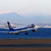 ANA787