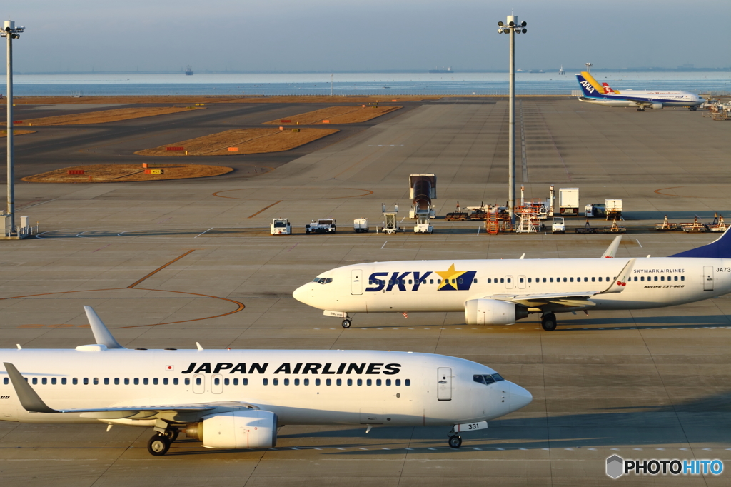 JALとSKY