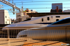 疾走