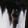 水の女神
