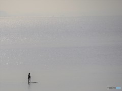 春の海