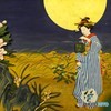 夜の花見