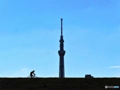 Tokyo　SkyTree