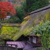 IMGP0004