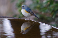 IMGP0128
