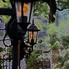 IMGP7798(2)