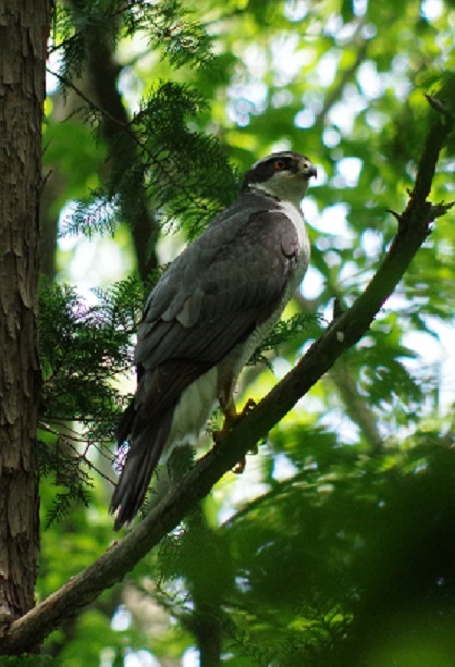 IMGP2116(2)